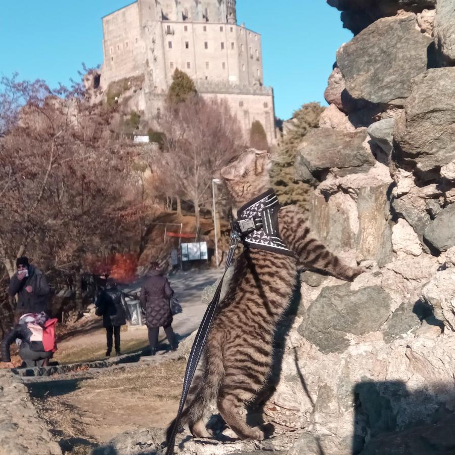 Casa Del Rustico, Indipendente Vista Sacra Con Dipinto Villa Caprie Dış mekan fotoğraf